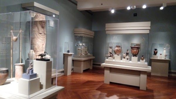 A museum with blue walls and various items behind a glass case.